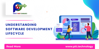 SOFTWARE DEVELOPMENT PTT web