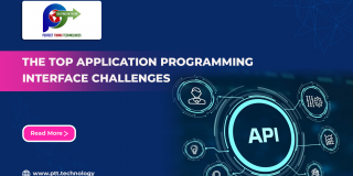 APPLICATION PROGRAMMING INTERFACE CHALLENGES