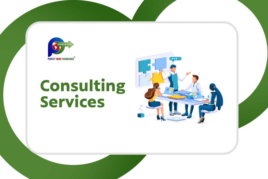 Consulting Services